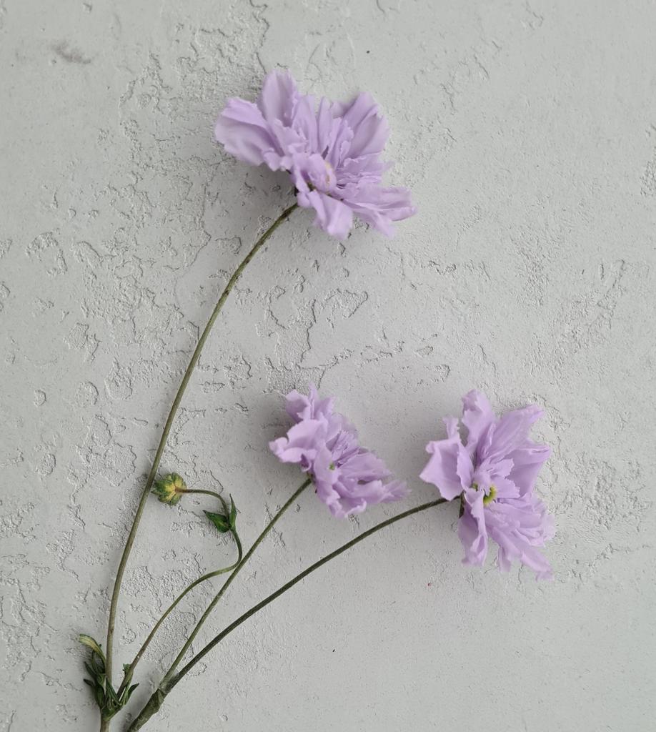 МК Ольги Снеговой скабиоза фантазийная