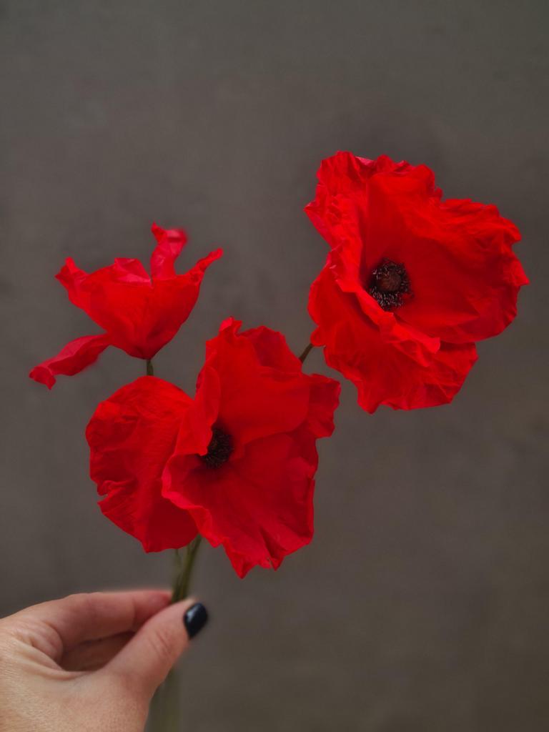 МК Ольги Снеговой маки фантазийные