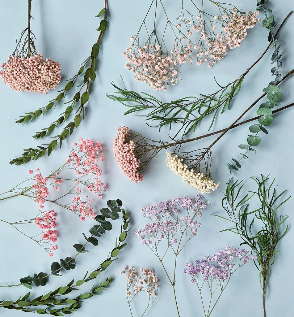 Курс Ольги Снеговой по стабилизации и окрашиванию