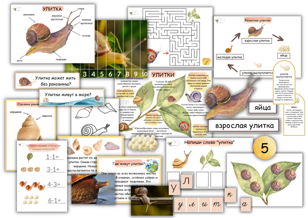 ПРОЕКТ "УЛИТКА"