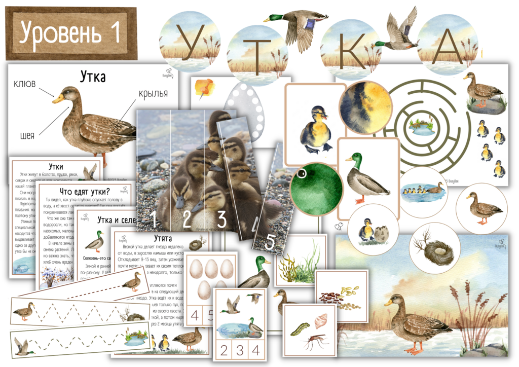 ПРОЕКТ "УТКА" УРОВЕНЬ 1