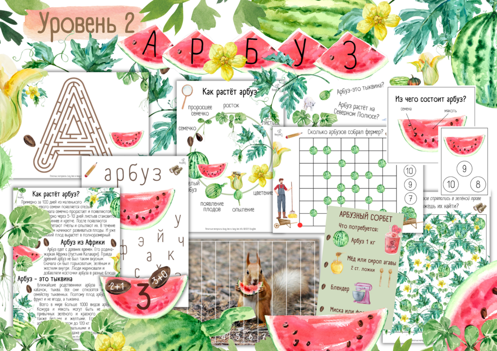 ПРОЕКТ  "АРБУЗ" УРОВЕНЬ 2