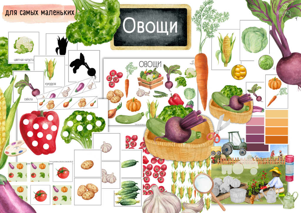 ПРОЕКТ  "ОВОЩИ"