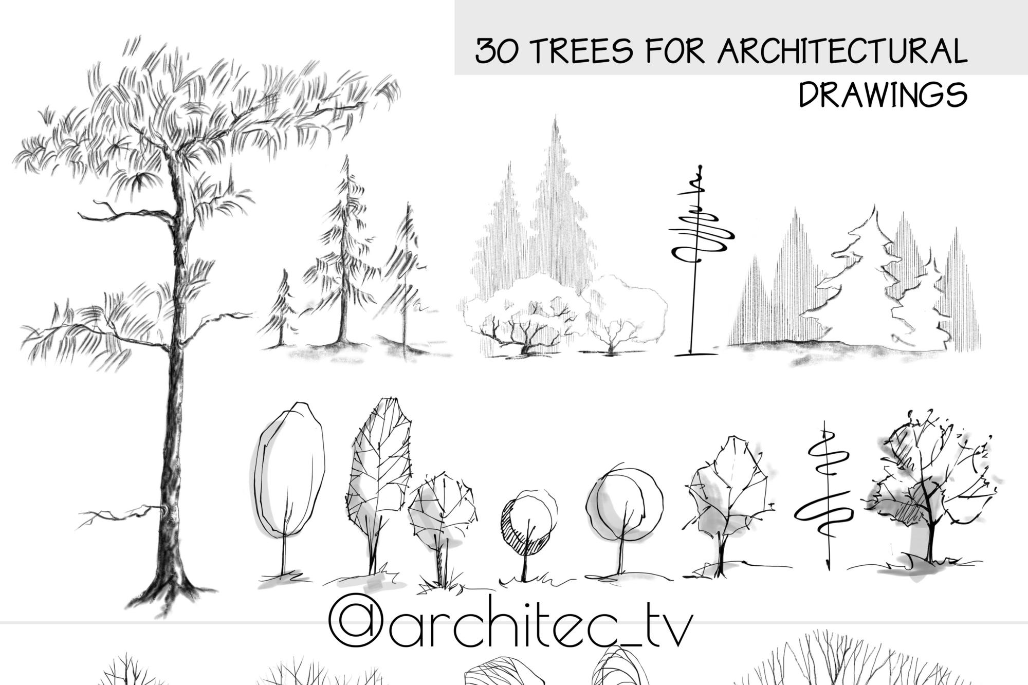Vector Trees for architectural scketches