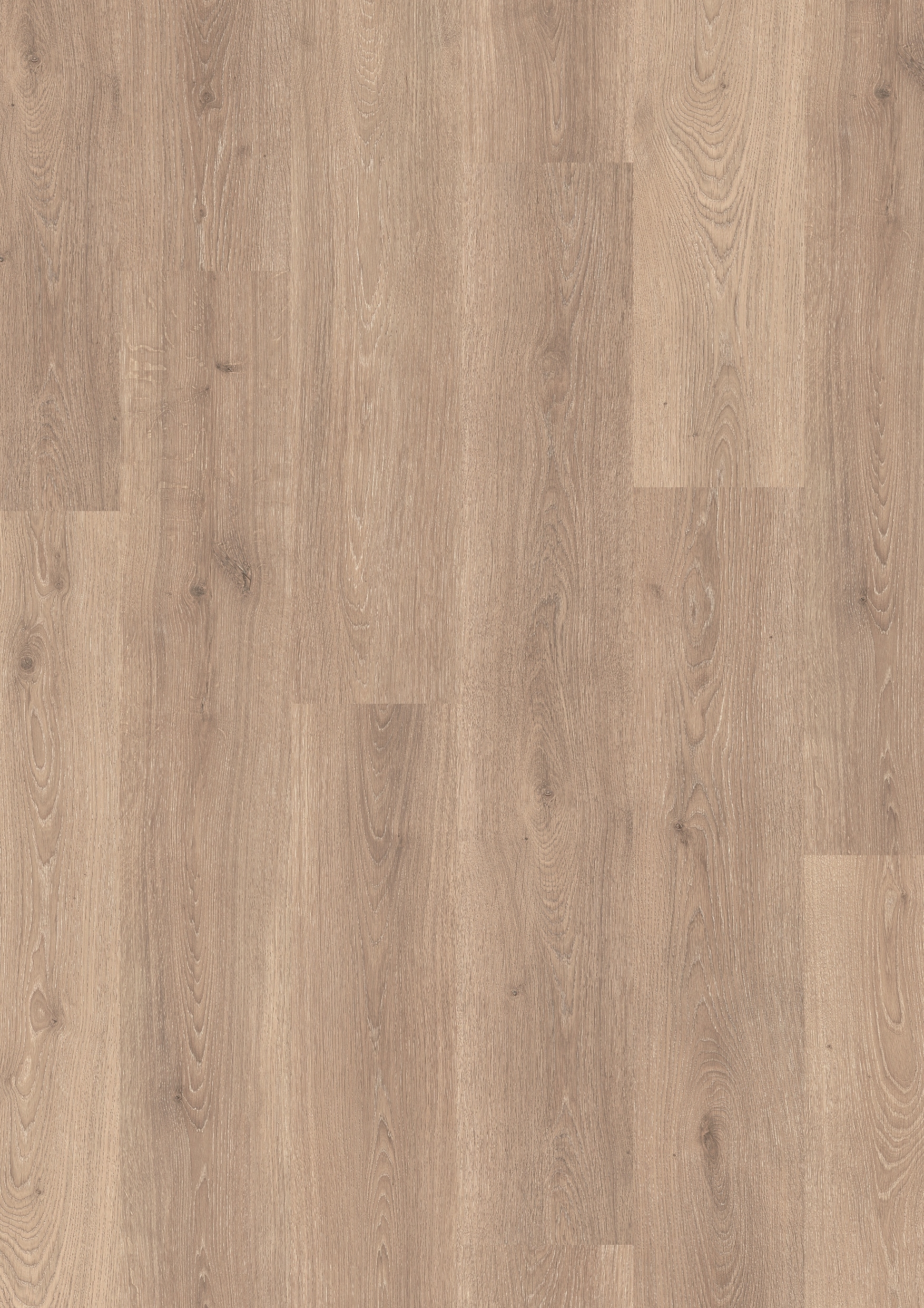 Ламинат Pergo Дуб Премиум CLASSIC PLANK L0101-01801