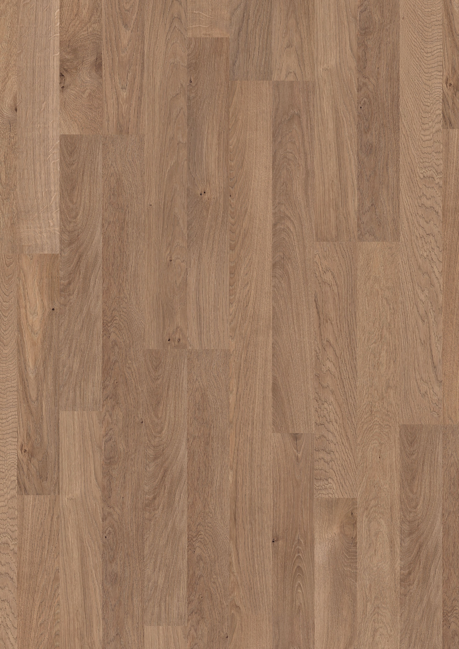 Ламинат Pergo Дуб Кашемир, 2-Х Полосный CLASSIC PLANK L0201-01798