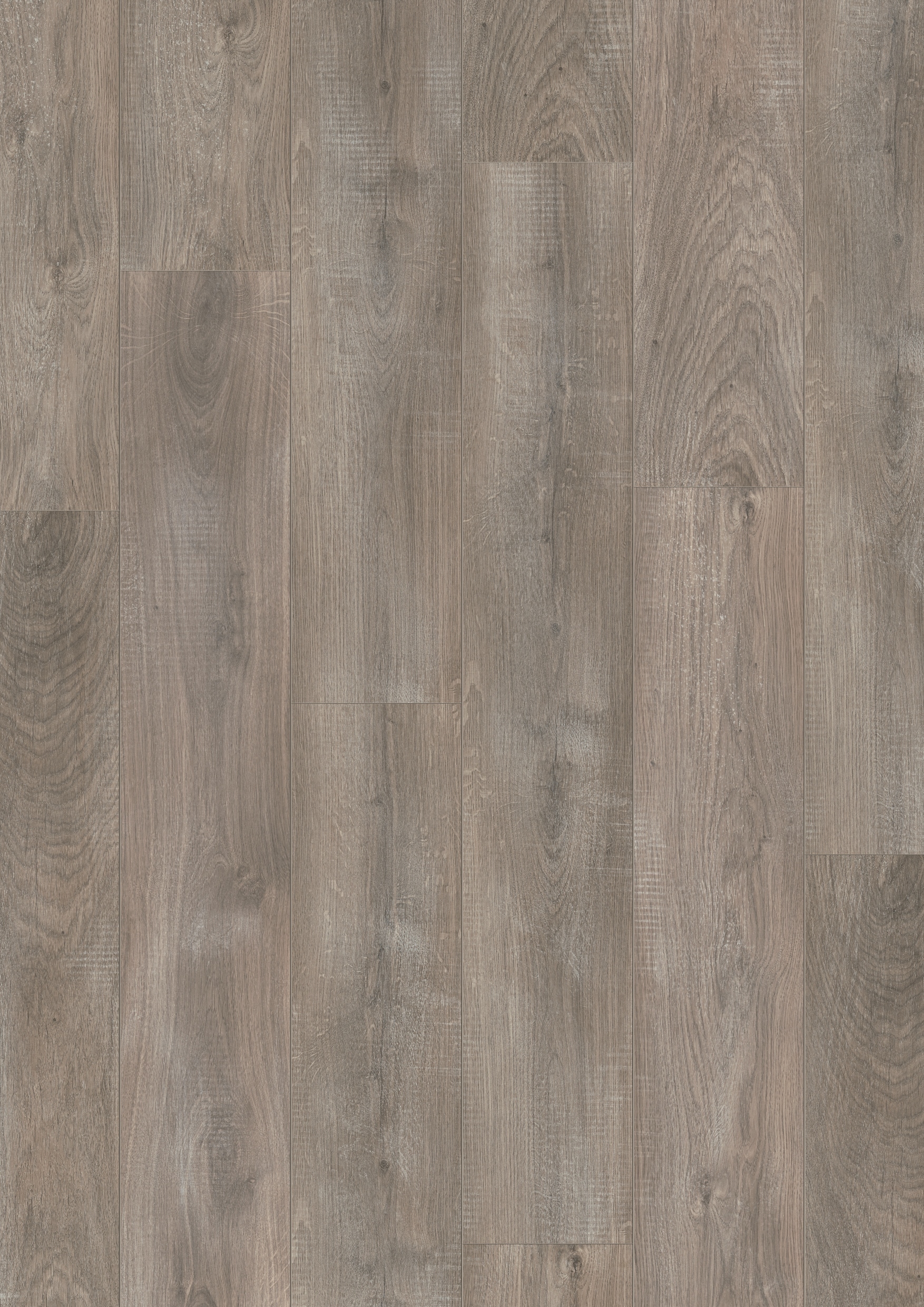 Ламинат Pergo Дуб Серый Меленый, Планка CLASSIC PLANK - NATURAL VARIATION L1208-01812