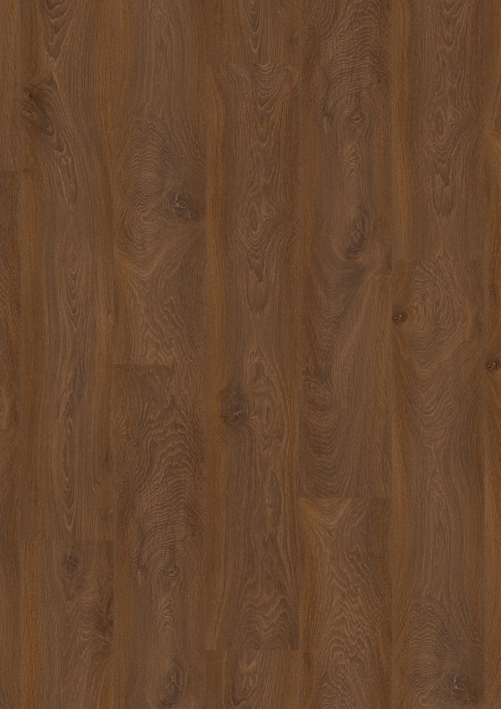 Ламинат Pergo Дуб индийский CLASSIC PLANK 4V L1301-02259