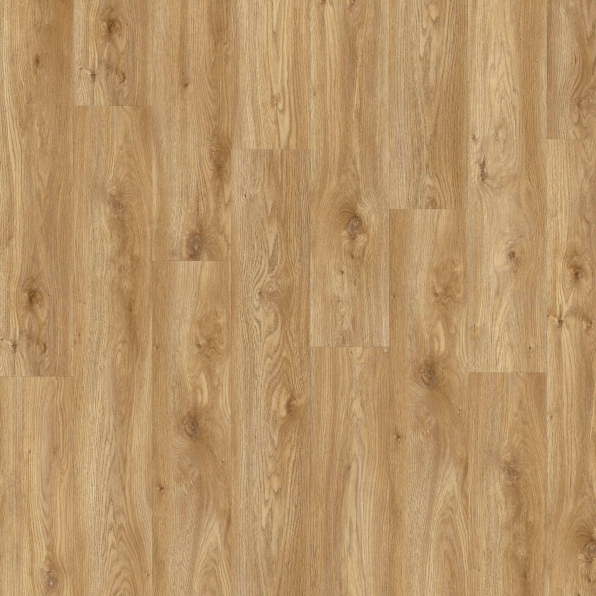 Винил Moduleo Roots Eir Sierra Oak 58346Q