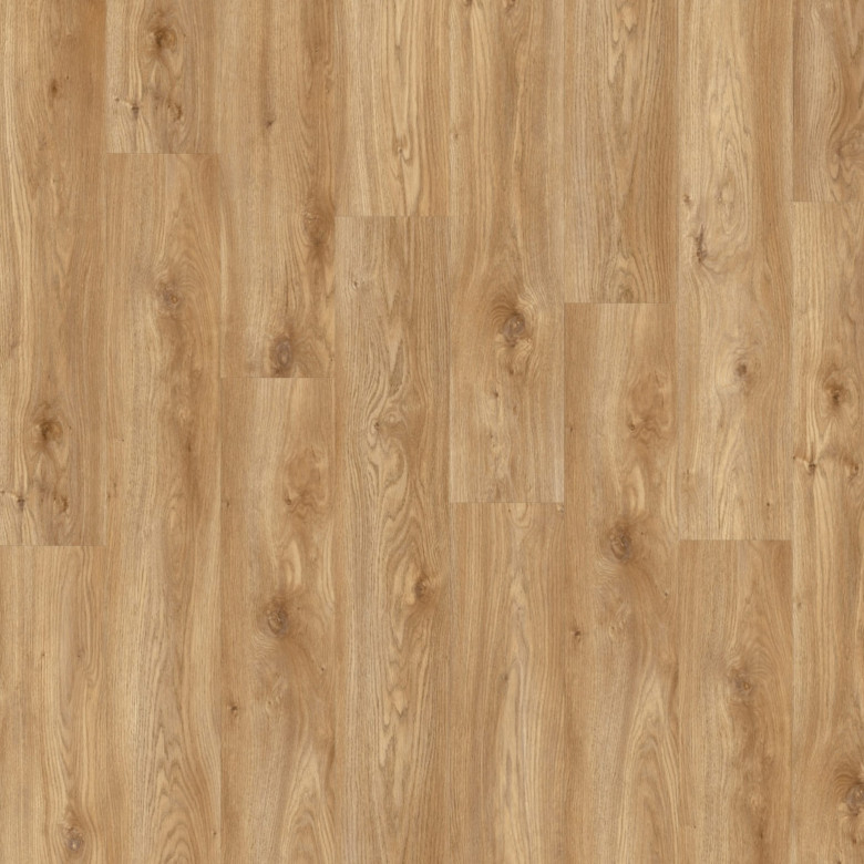 Винил Moduleo Roots Eir Sierra Oak 58346Q