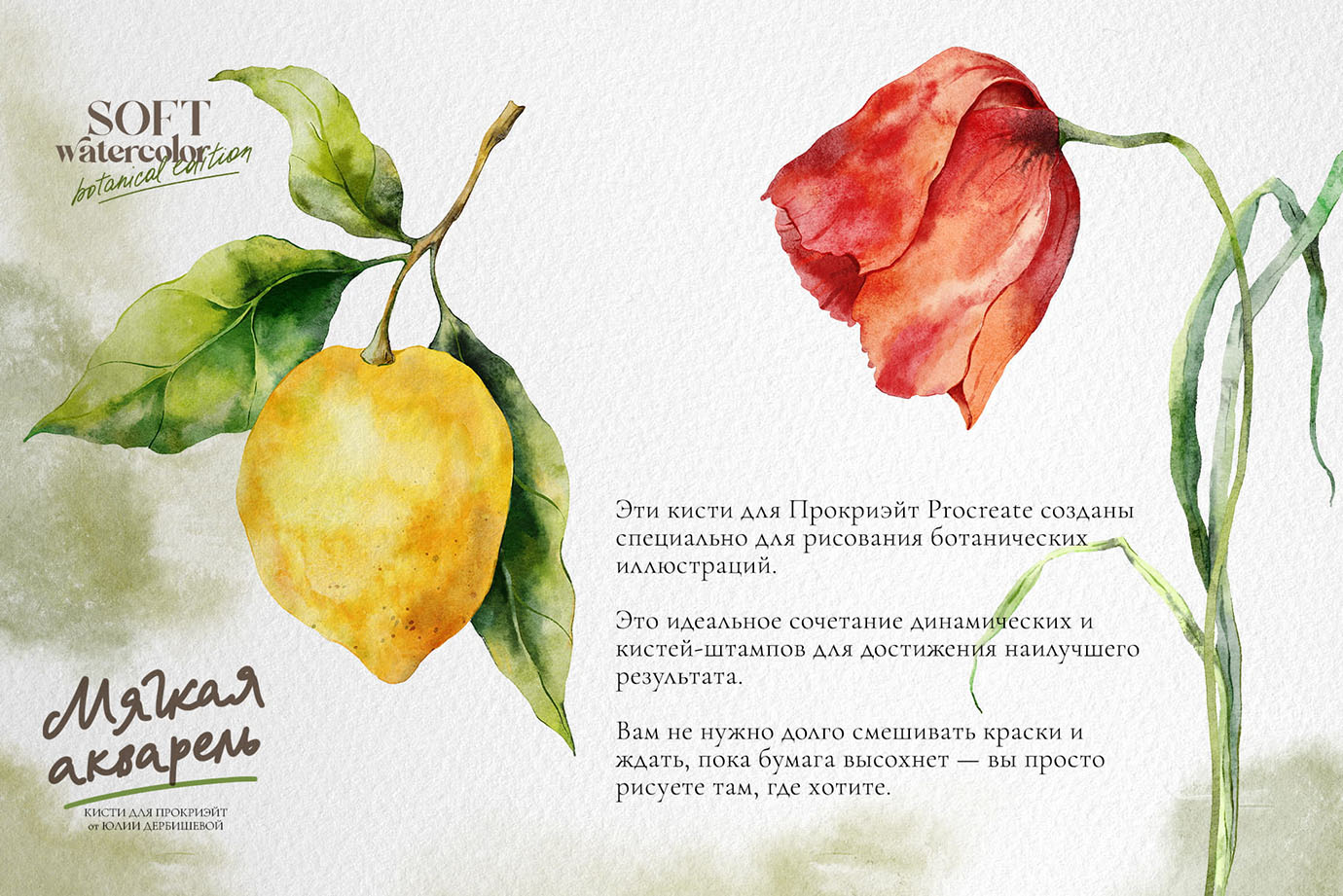 Акварельные реалистичные кисти для Прокриэйт SOFT WATERCOLOR Procreate brushes + Botanical edition