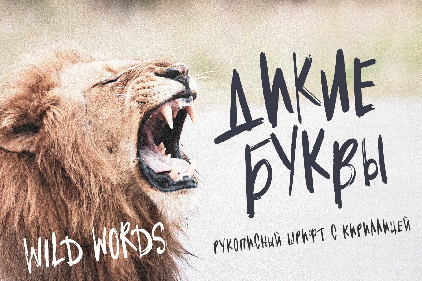 Дикие Буквы Wild Words рукописный шрифт маркер кириллица русский шрифты