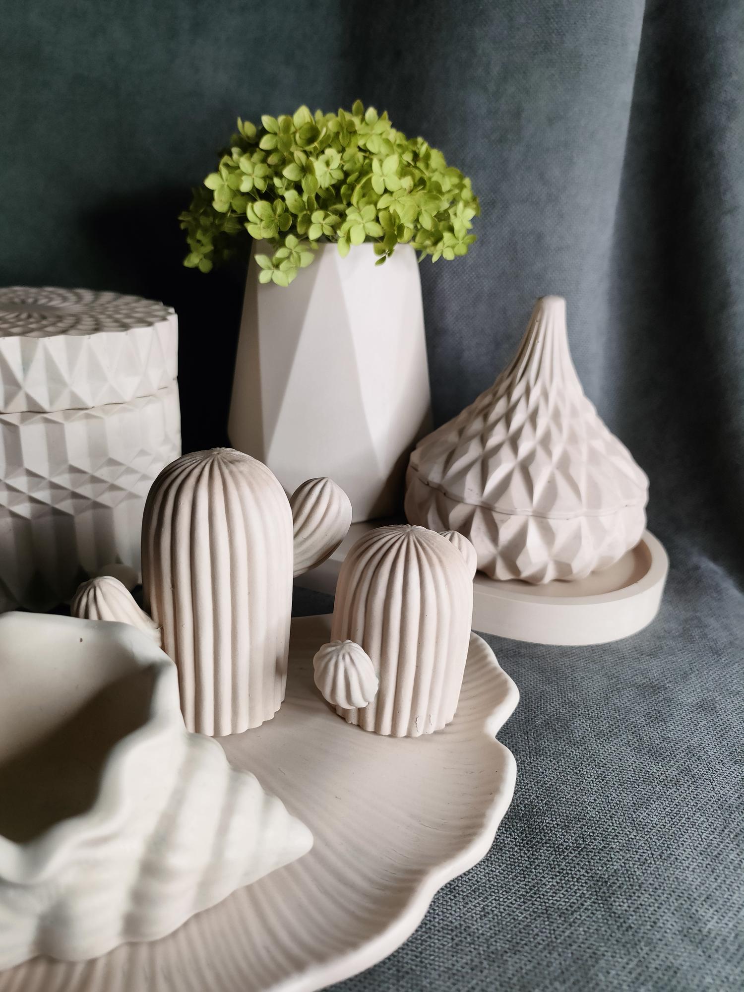 Кактусы пара