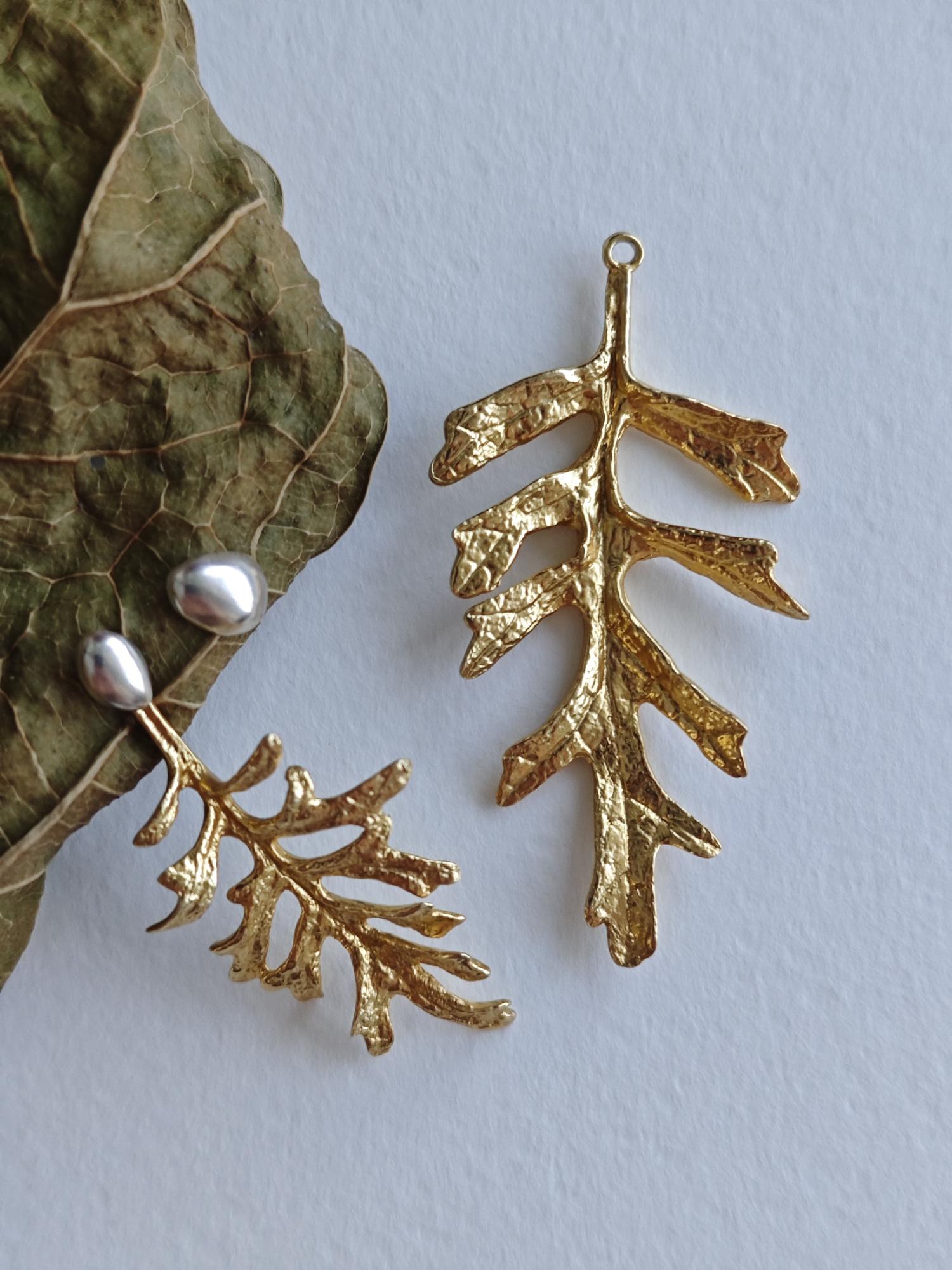 Джекеты Семена и Цинерария