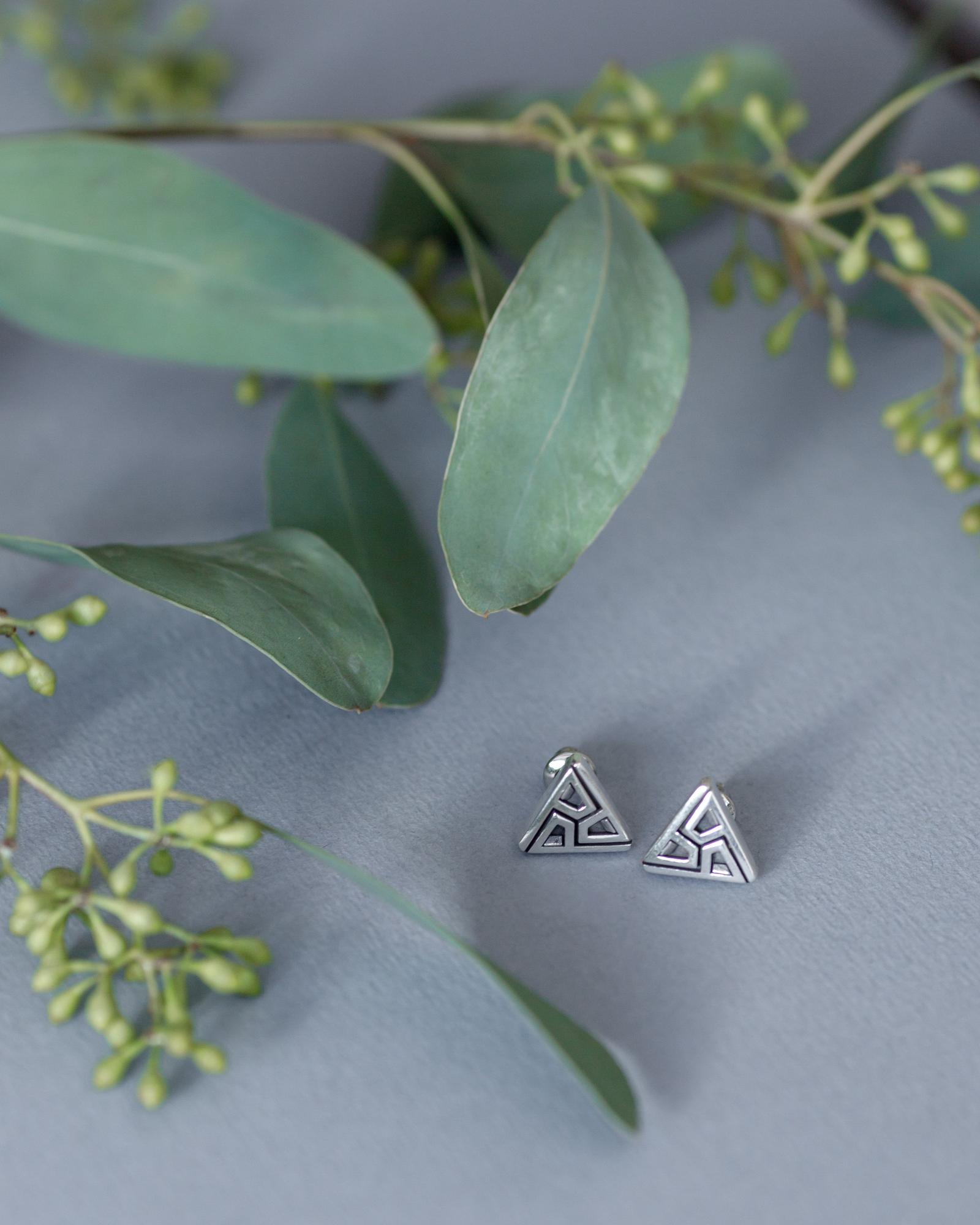 Серебряные серьги Pins