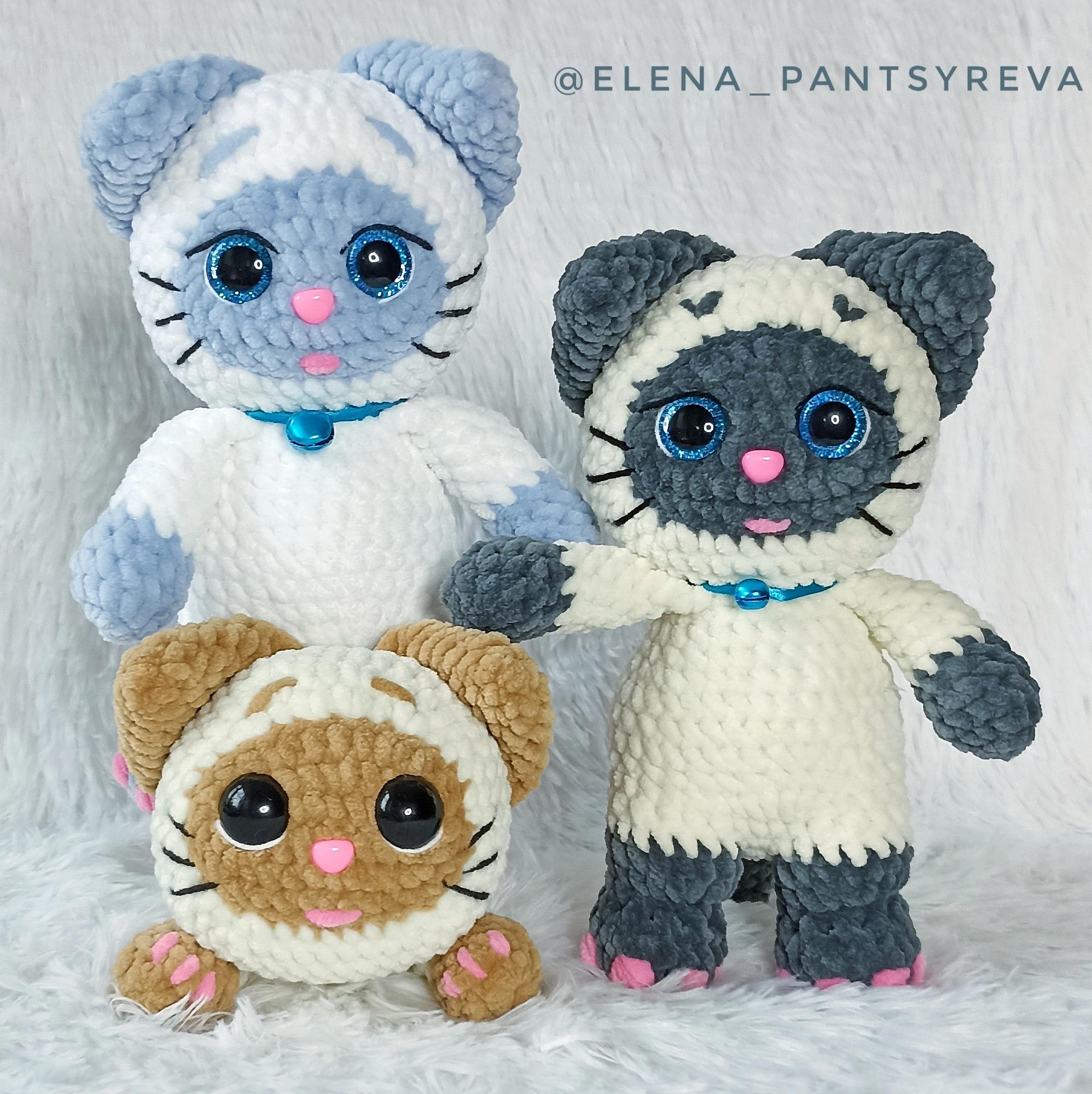 МК Котики Сиамцы