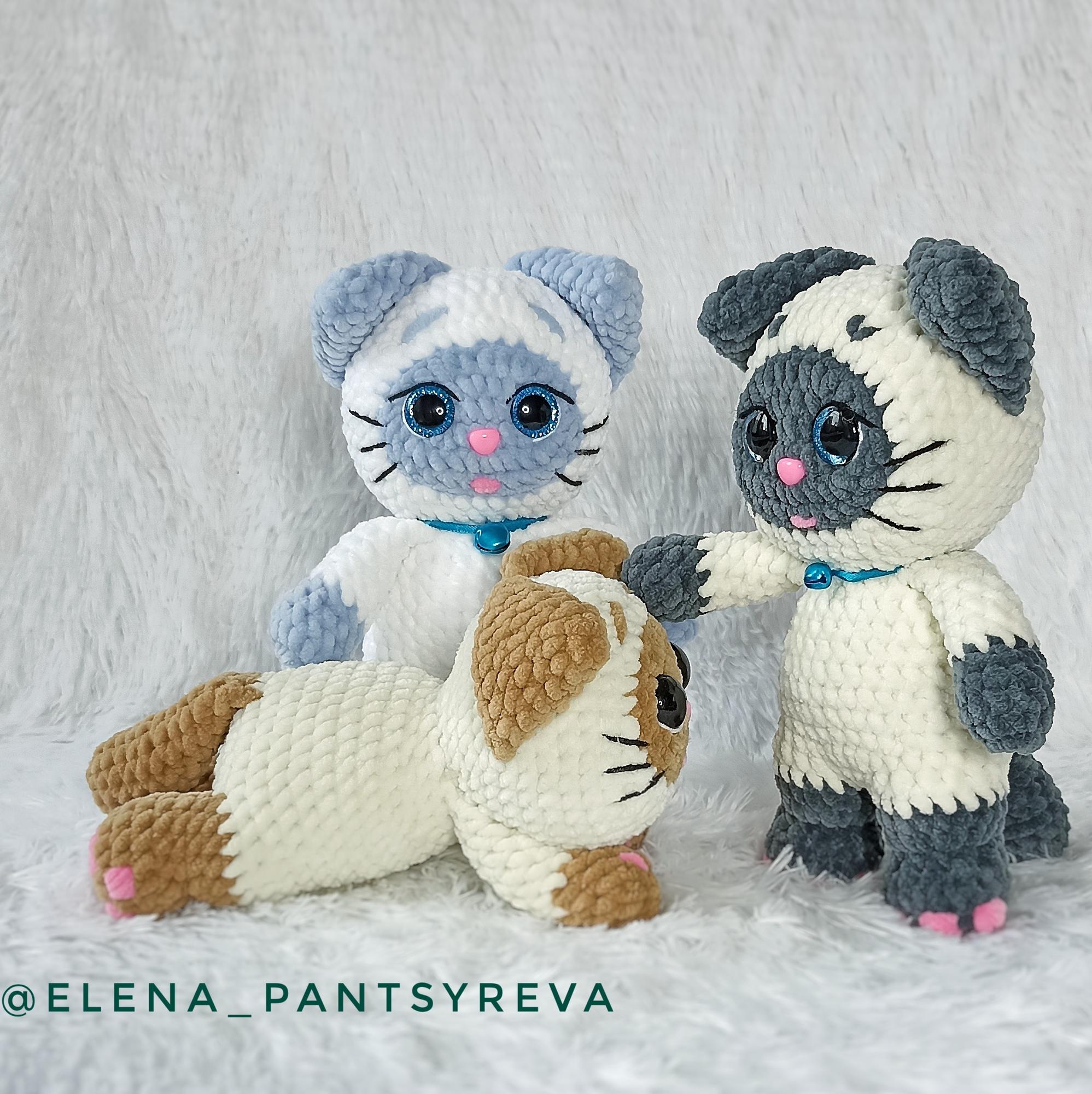 МК Котики Сиамцы