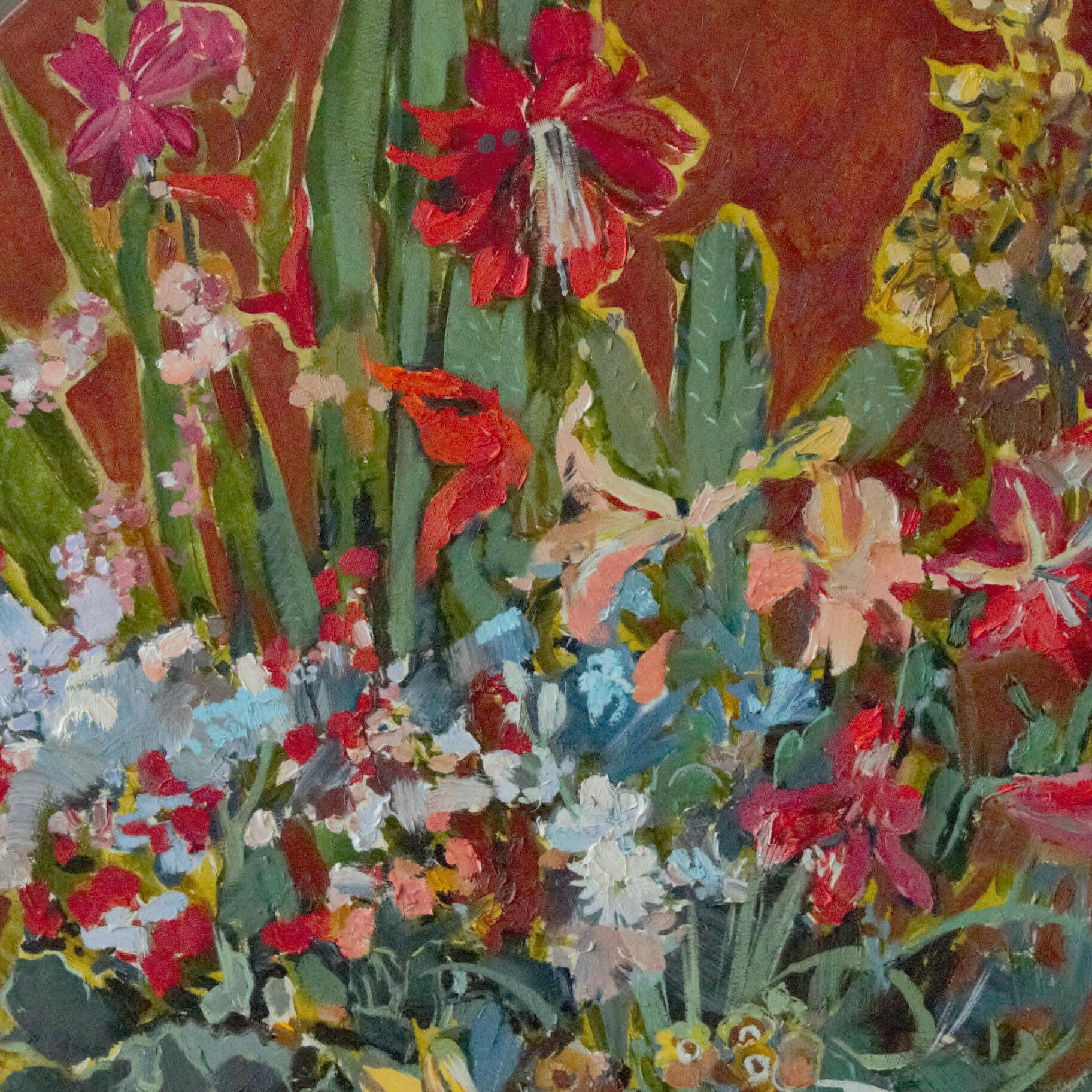 Цветущие кактусы