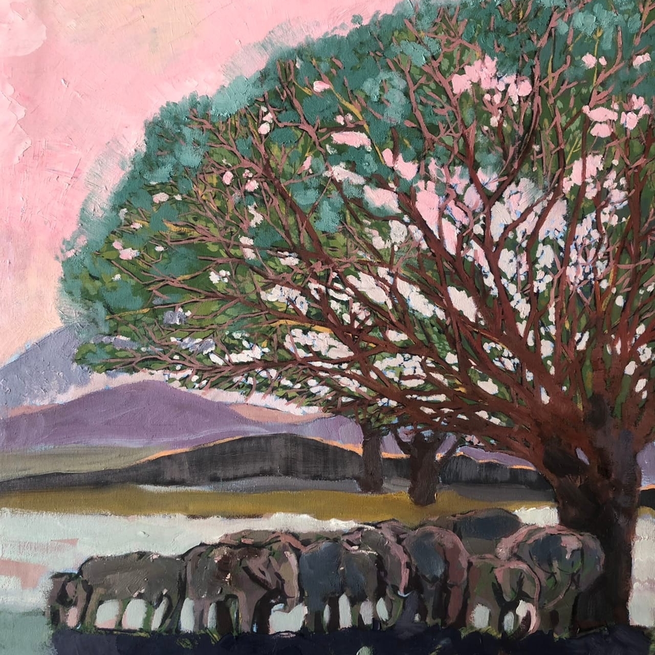 Слоны у водопоя