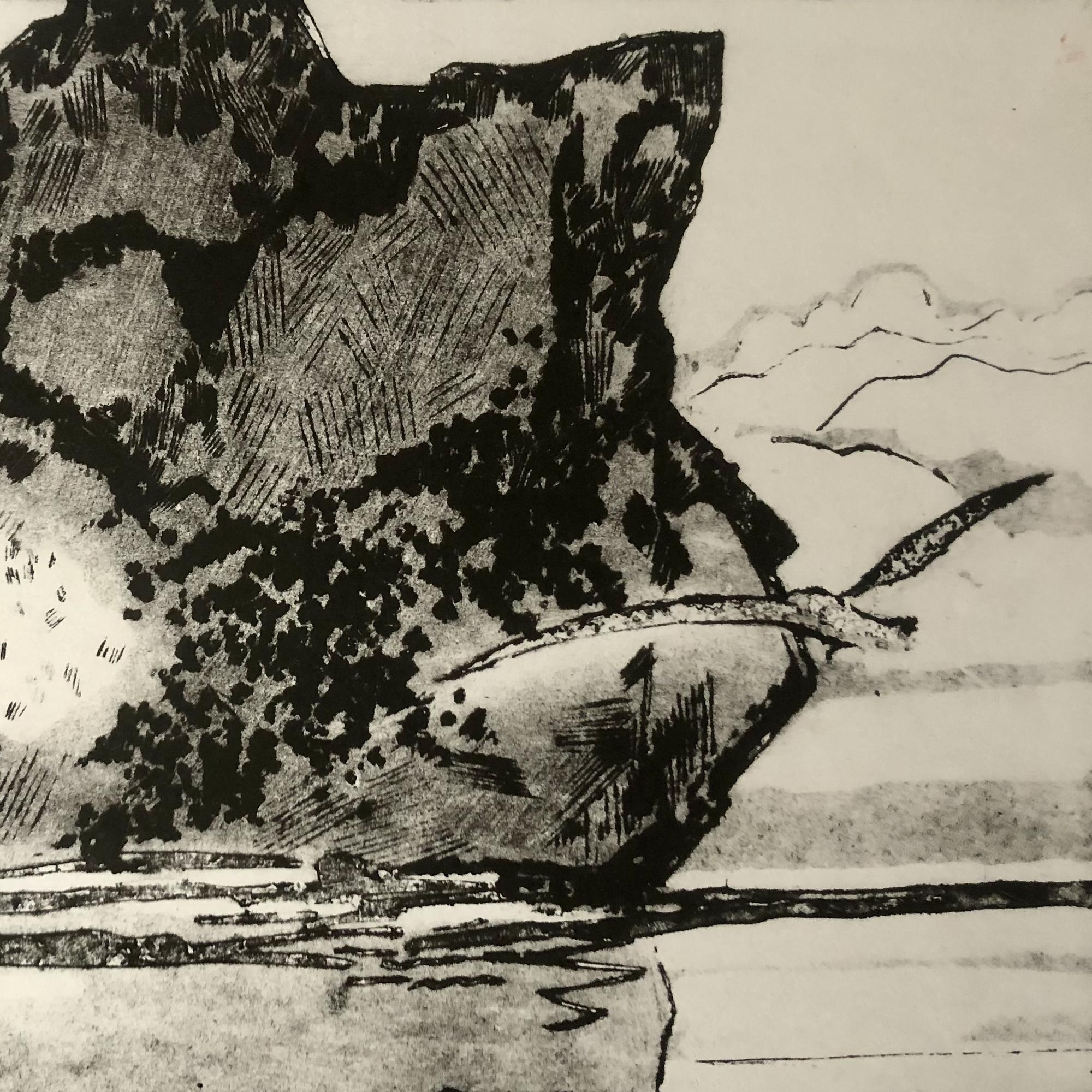 Джонатан Ливингстон