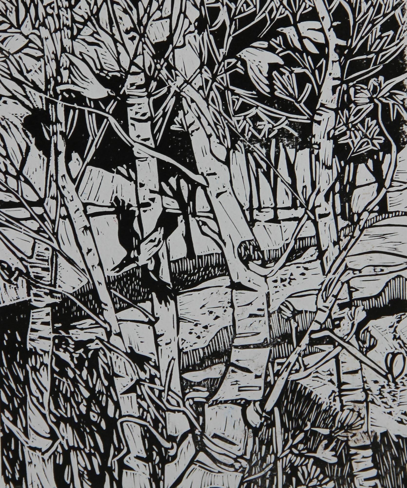 Березовая роща