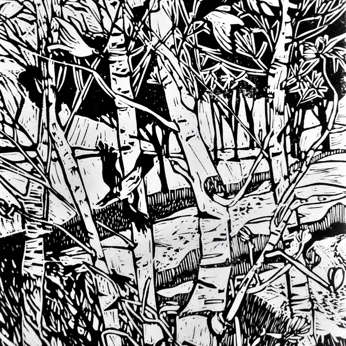 Березовая роща