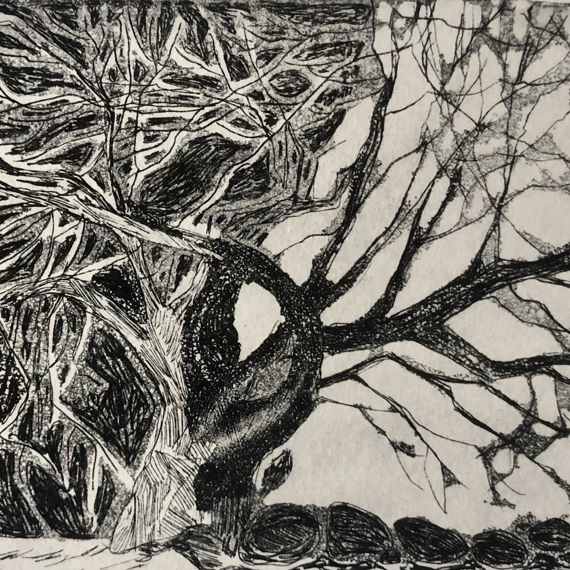 Старое и новое дерево