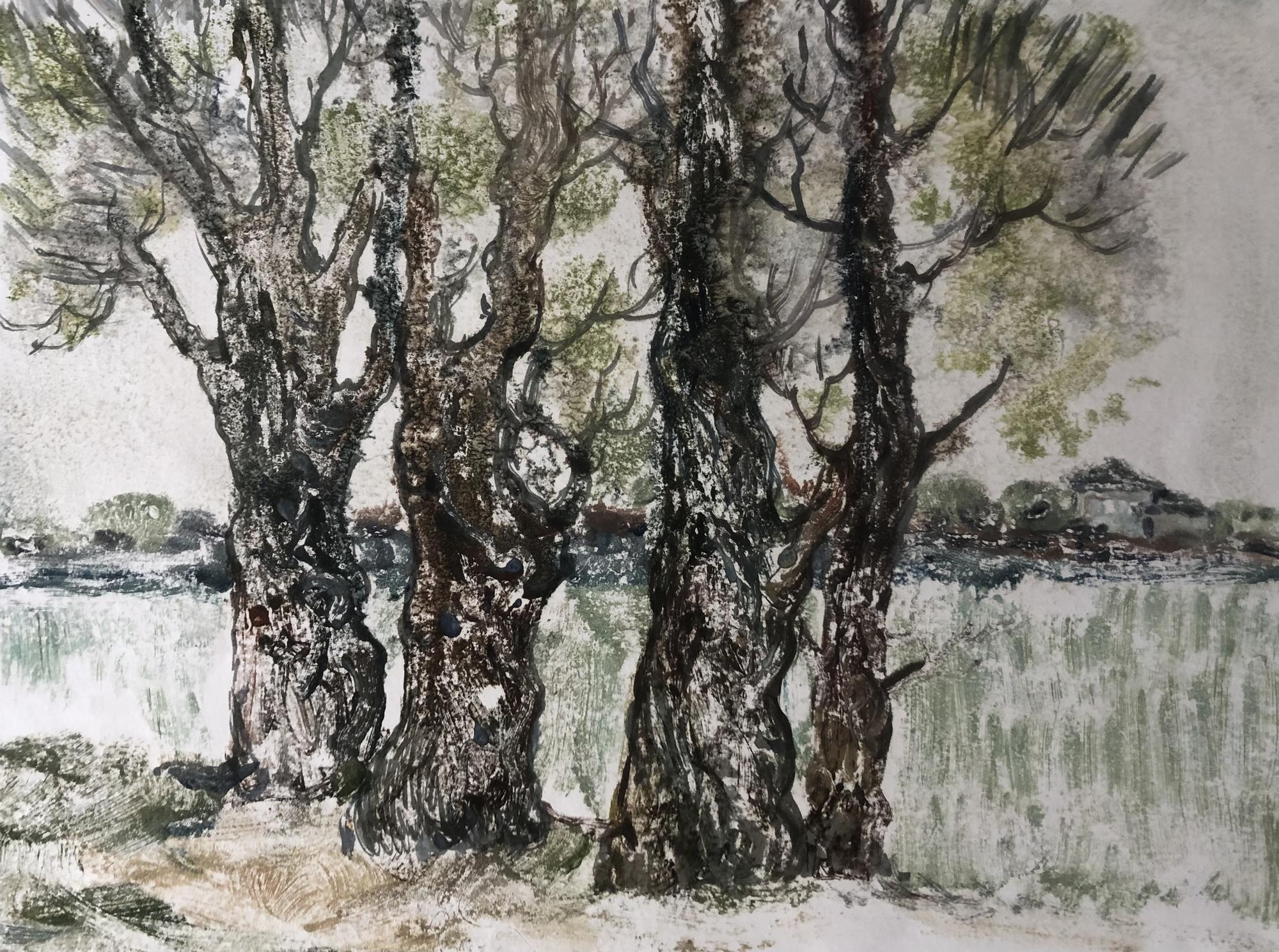 Старая Русса