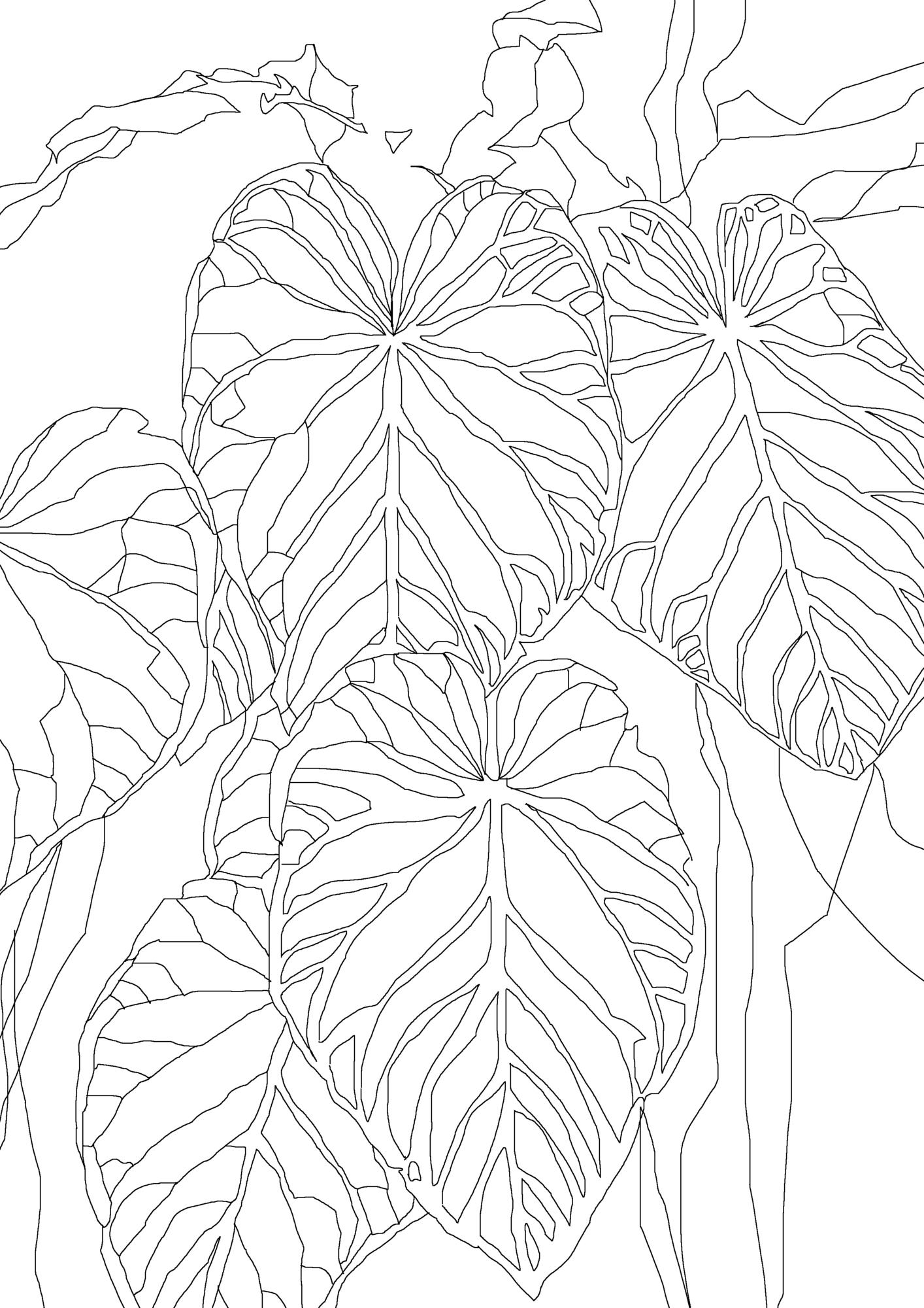 В ботаническом саду