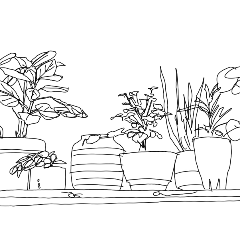 Цветы в горшке