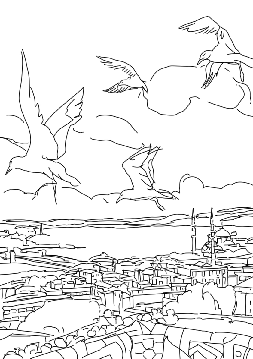 Чайки в Стамбуле