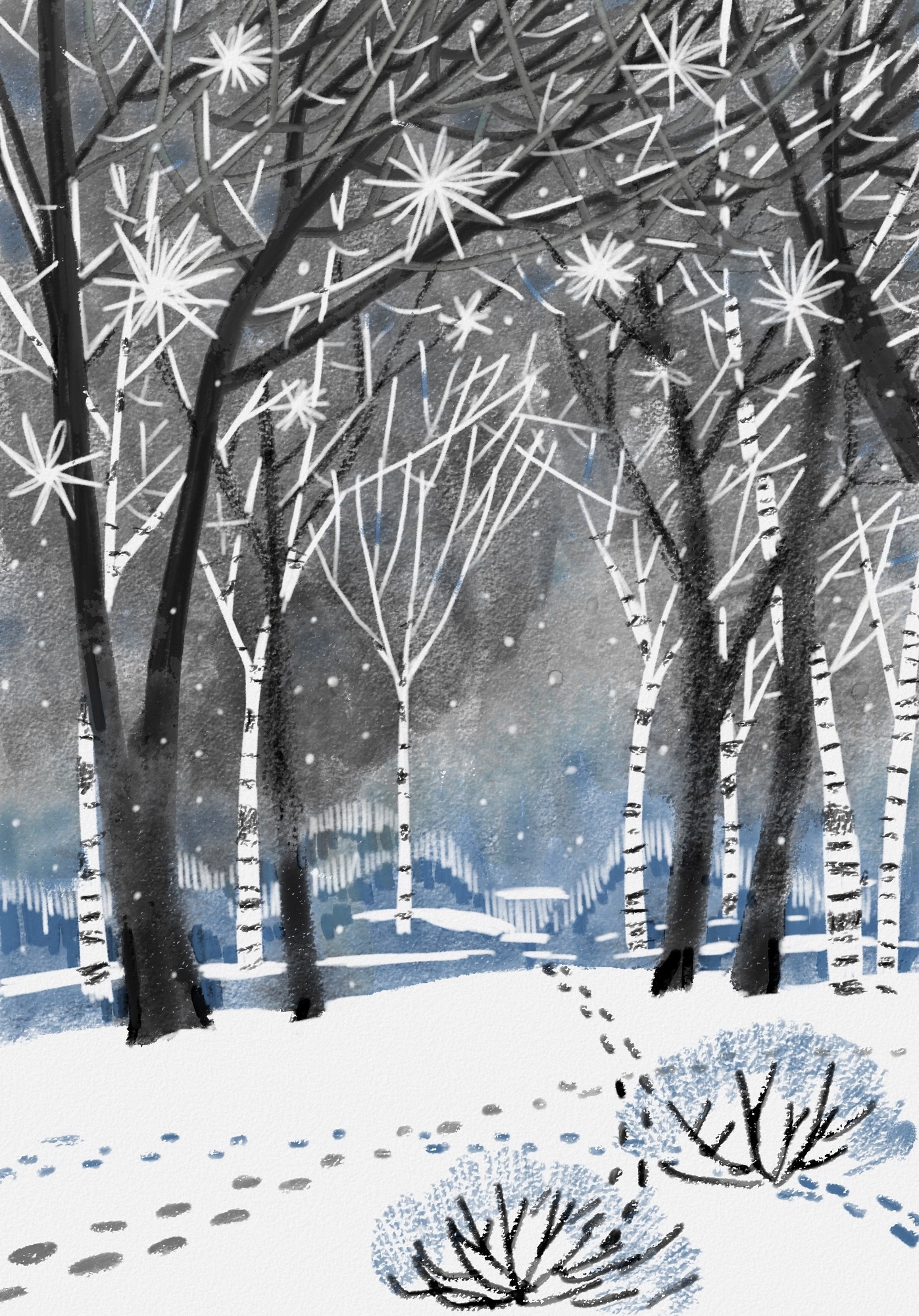 У Новой Голландии