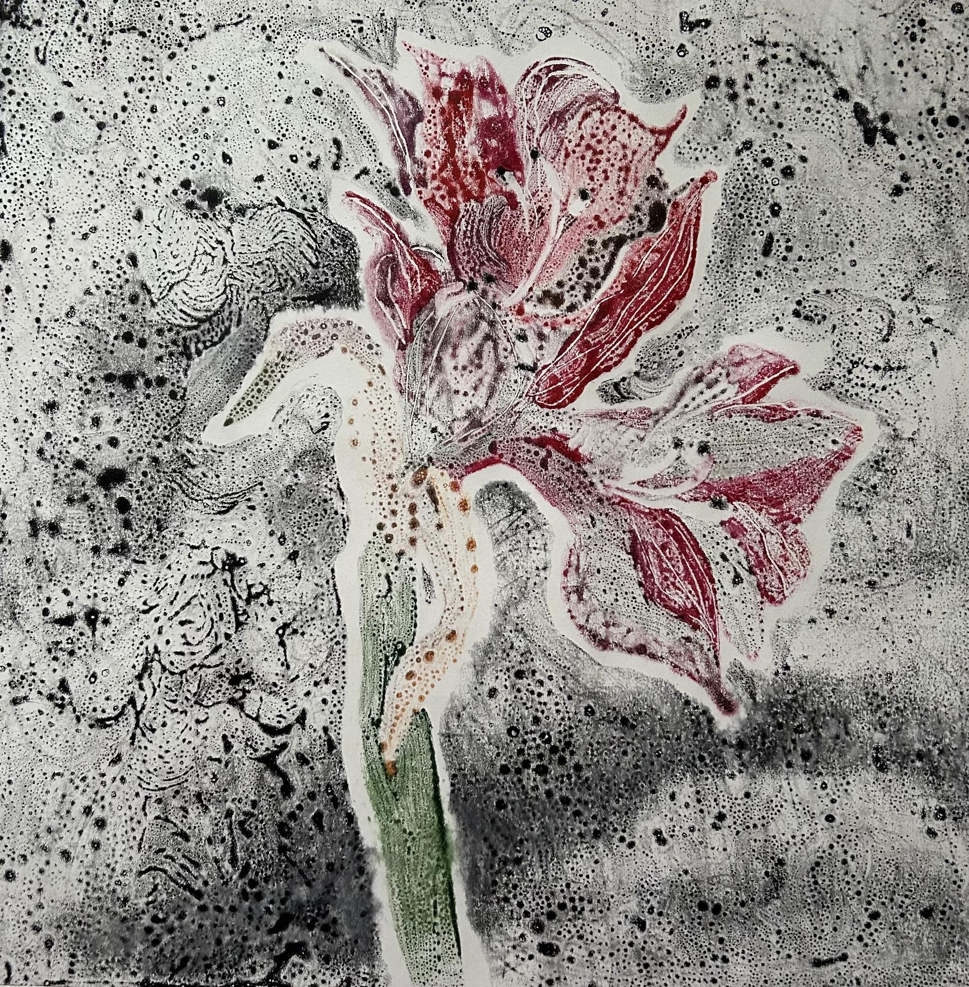 Дерево тюльпан