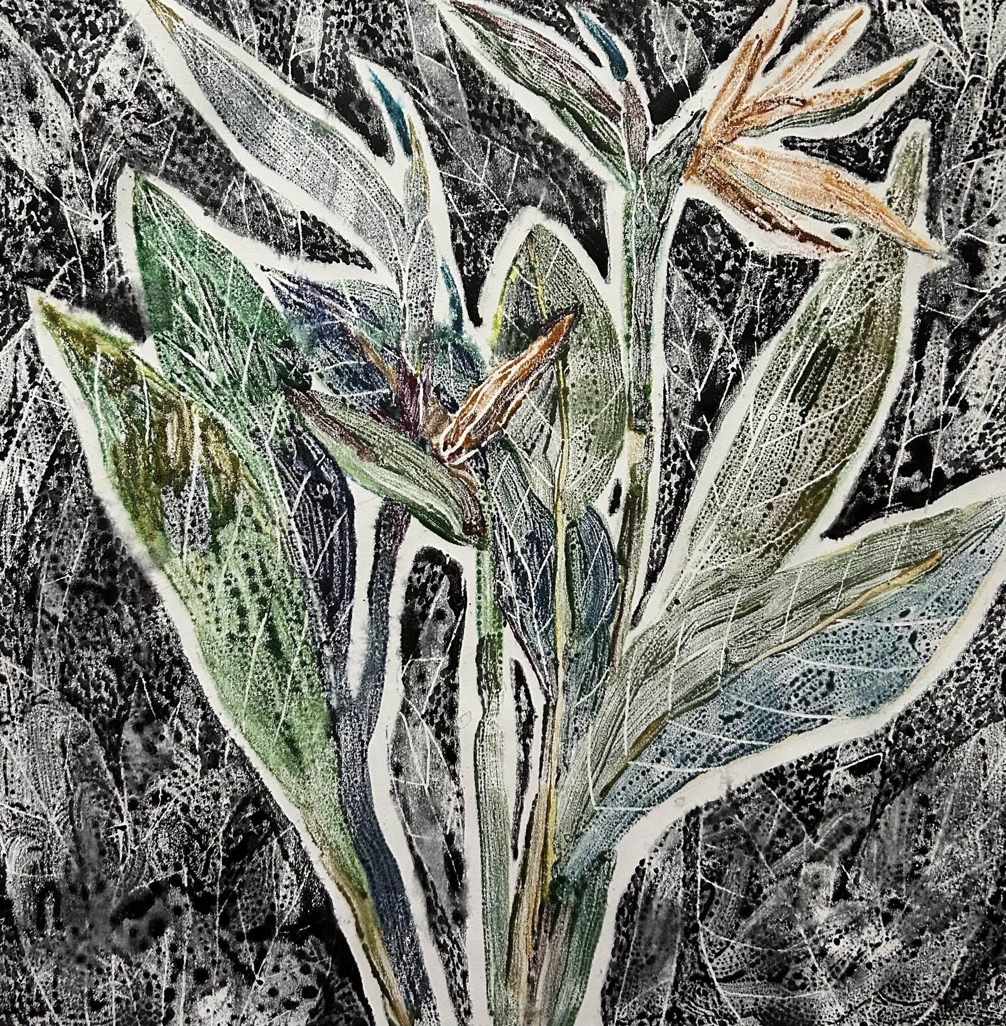 Стрелиция в сумерках