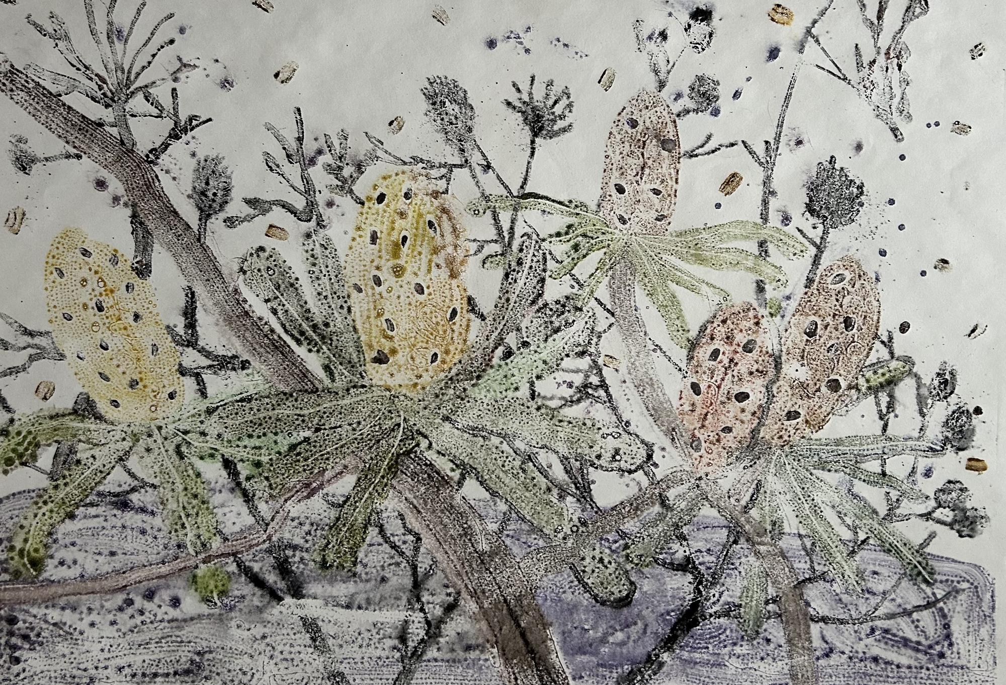 Африканские колючки