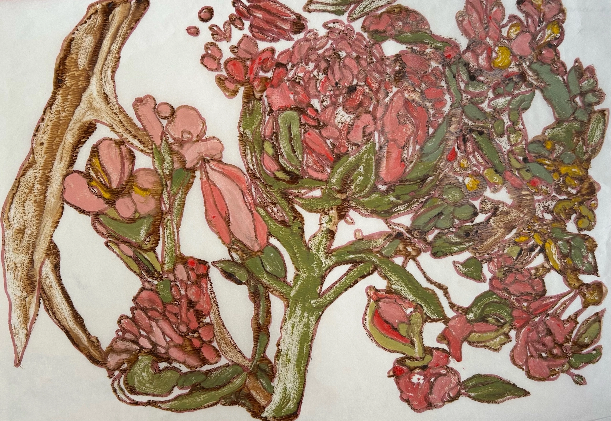 Африканские цветы