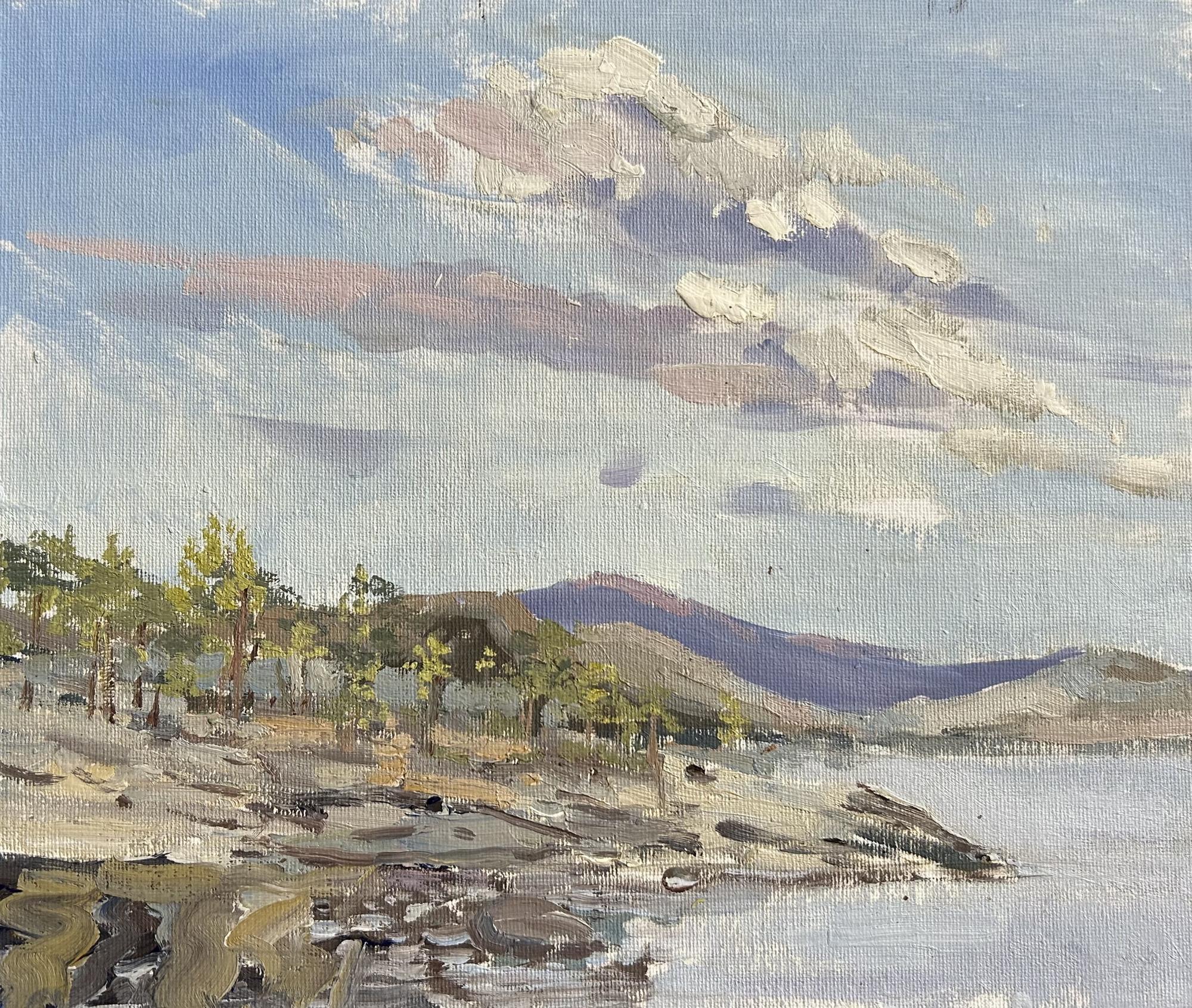 Сопки и ели