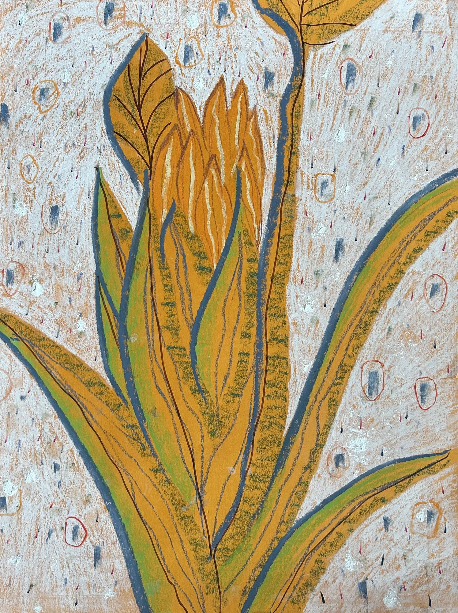 Африканские цветы