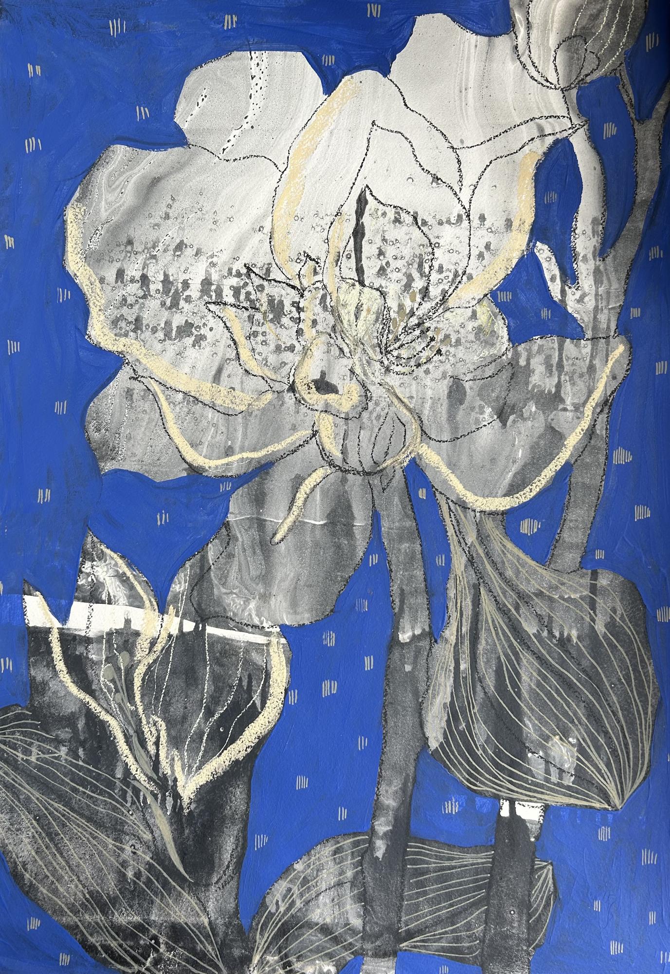 Ночные цветы