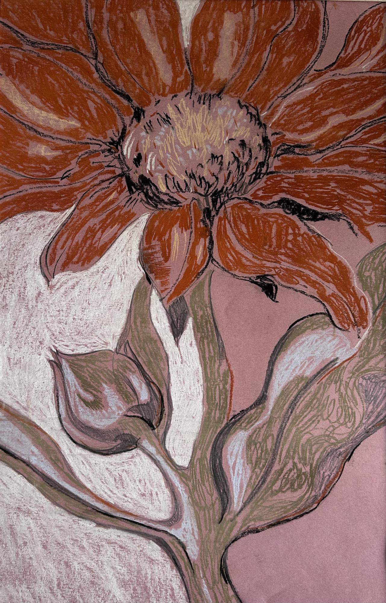 Красный подсолнух