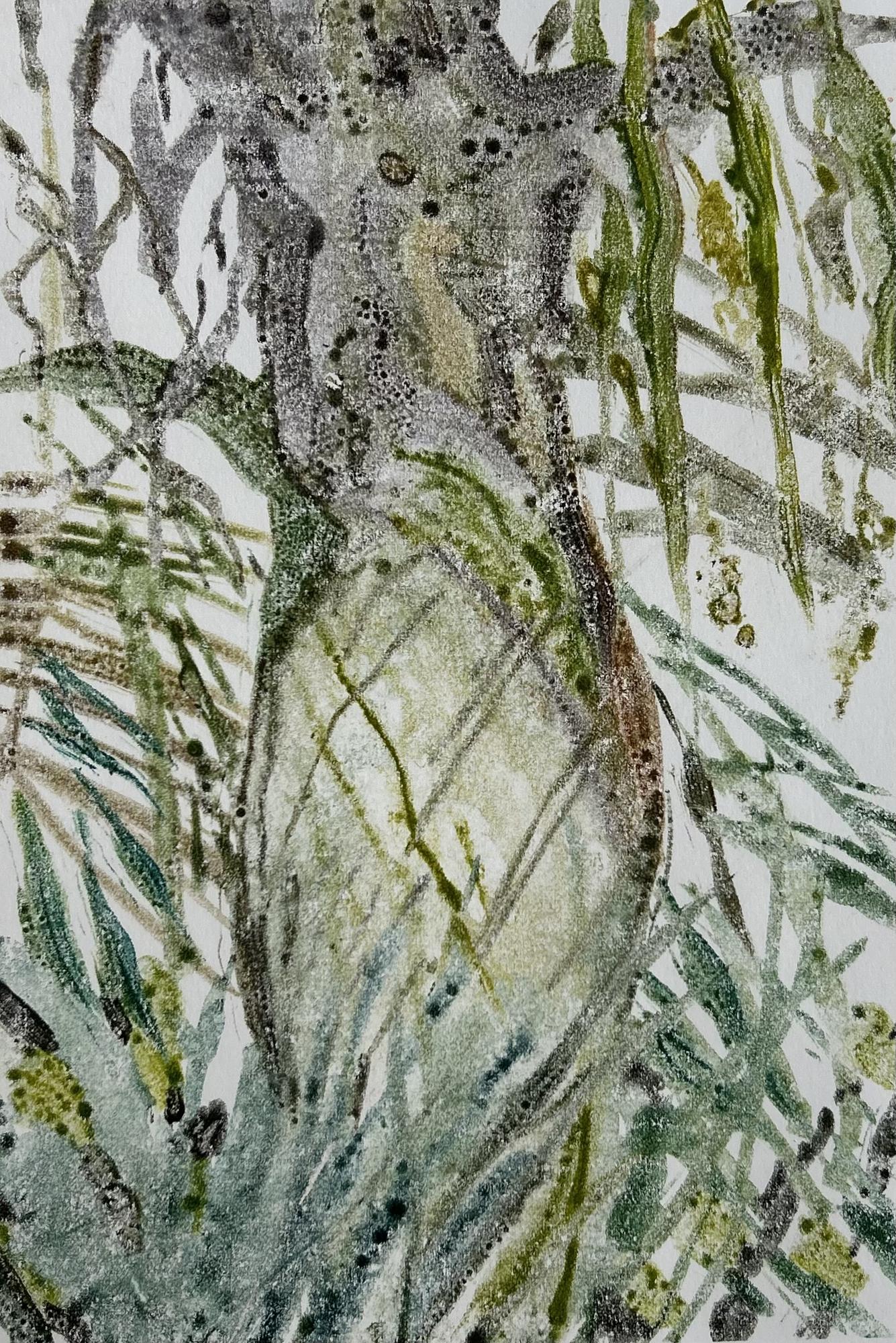 Банановая пальма