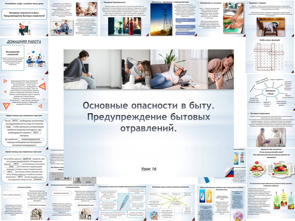 Презентация к уроку ОБЗР 8 класс "Основные опасности в быту. Предупреждение бытовых отравлений"