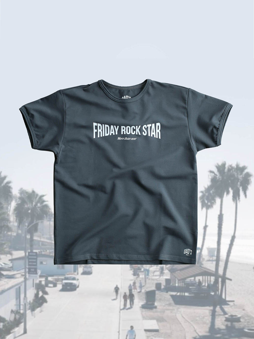 Футболка графит Friday Rock Star