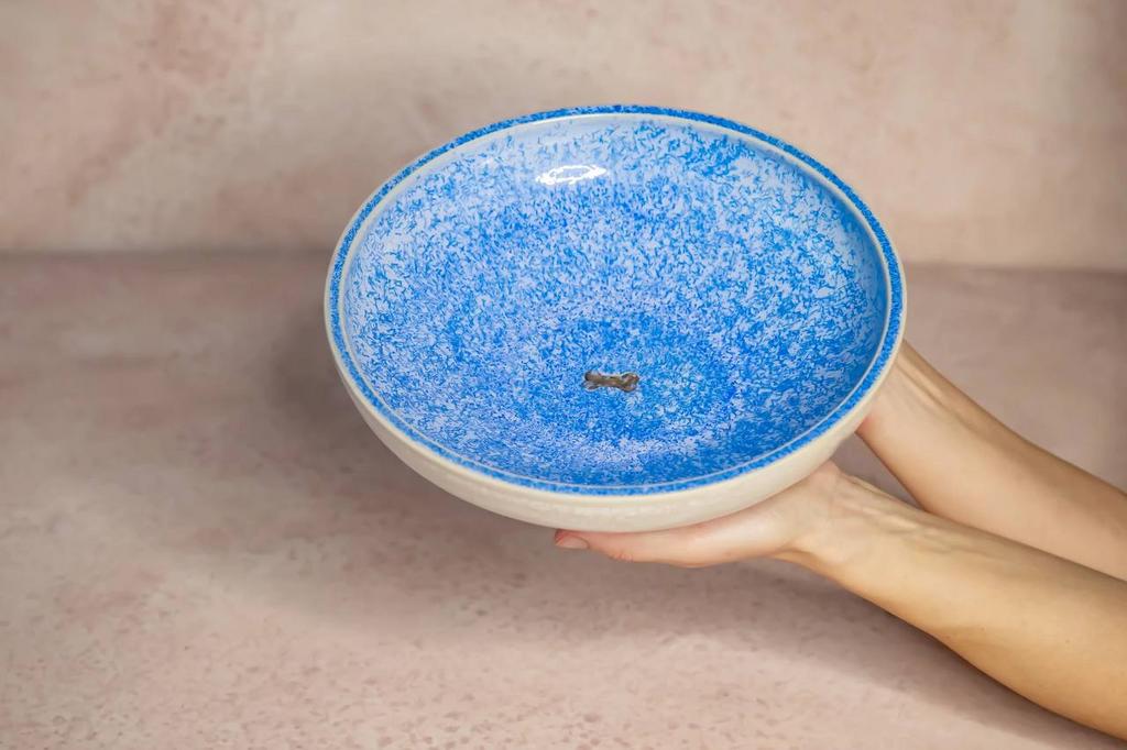 БОЛЬШАЯ ГЛУБОКАЯ МИСКА ДЛЯ СРЕДНИХ ПОРОД СОБАК "ДАЙ ЛАПУ"