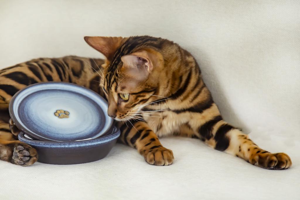 СЕРВИЗ ИЗ 3 ПРЕДМЕТОВ