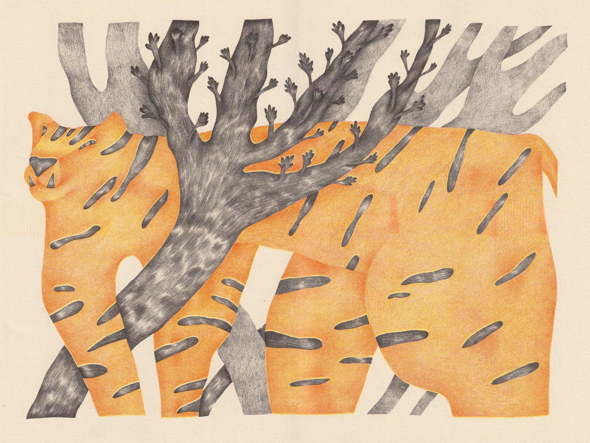 Riso-porter «Tiger»