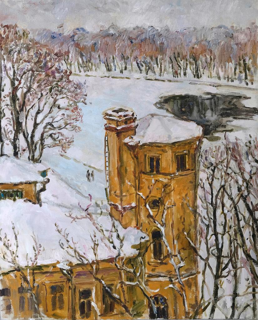 Зимний вид на Елагин остров, дача алсуфьевой, этюд