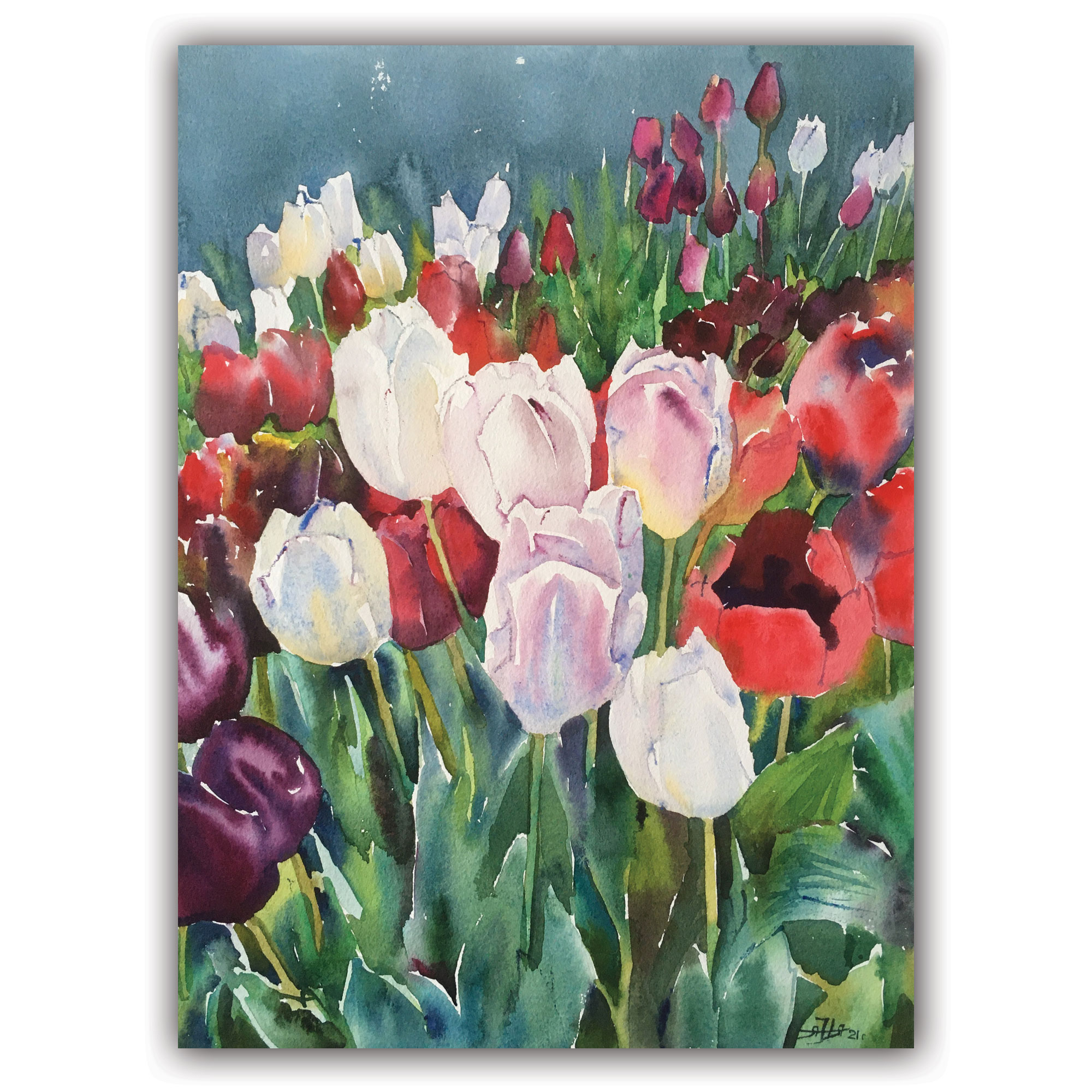 Открытка "Поле тюльпанов"