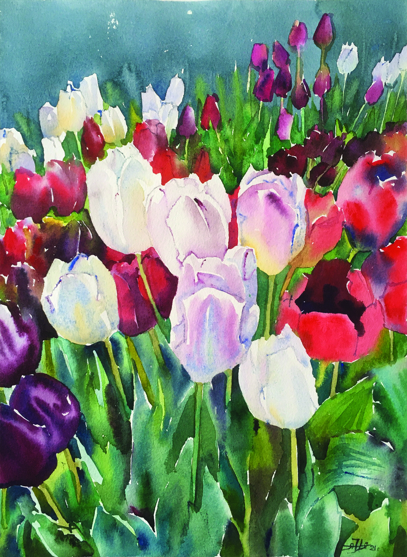 Открытка "Поле тюльпанов"