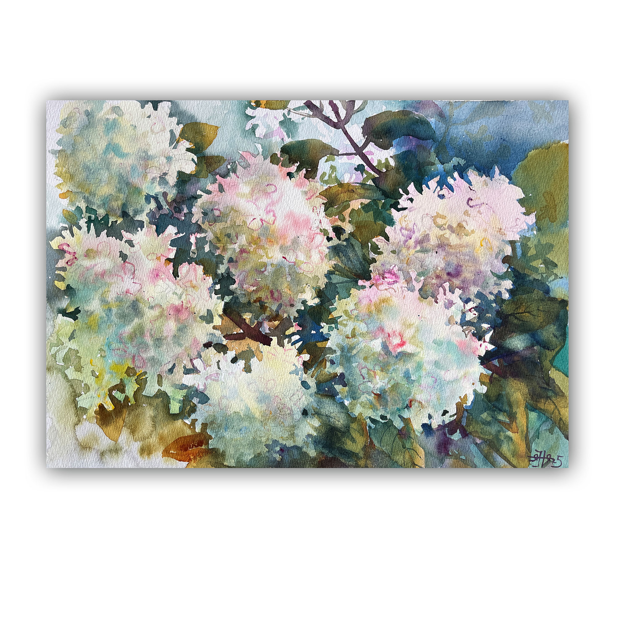 Картина "Гортензия"